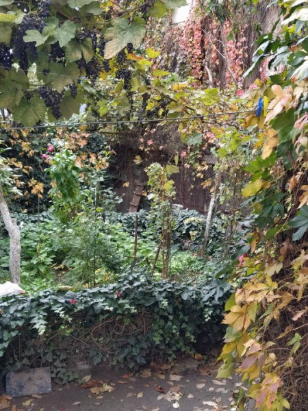 Apartament 3 Camere - Centru Vechi - Renovat - Vedere Spre Mare