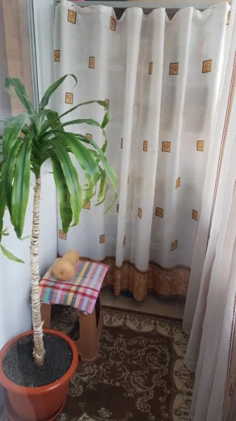 Apartament 2 Camere - Abator - Parter Inalt - Centrala Gaze