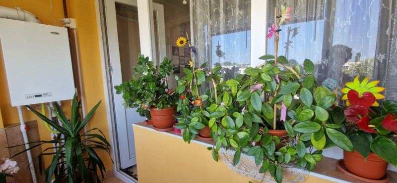 Apartament 2 Camere - Tomis 2 - Mobilat - Centrala Pe Gaze