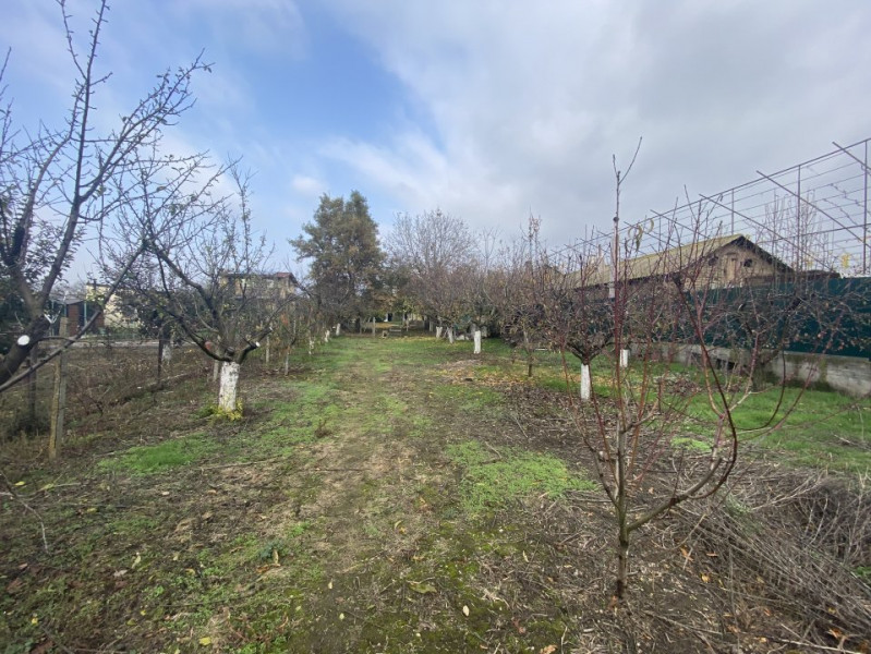 Casa de vanzare - Poiana CENTRAL - Toate uilitatile! 1320 mp teren! 