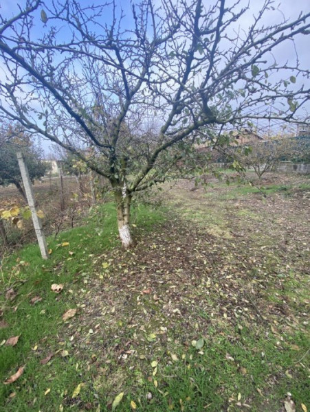 Casa de vanzare - Poiana CENTRAL - Toate uilitatile! 1320 mp teren! 